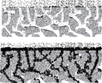 Fig 3_Soot build up improves filtration