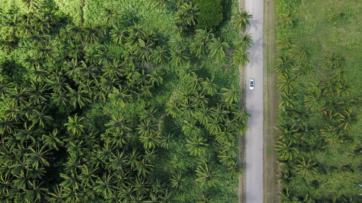 Aerial view of an area filled with trees with a road bisecting the image